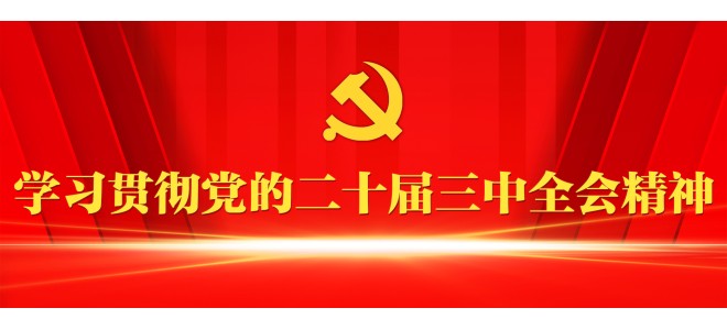 学习贯彻党的二十届三中全会精神